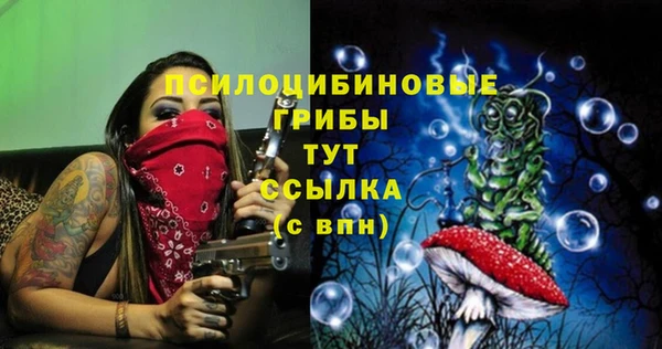 дурь Вязники