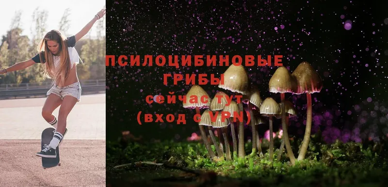 Псилоцибиновые грибы MAGIC MUSHROOMS  купить   Ясногорск 